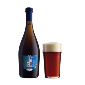 Bleis (IPA)